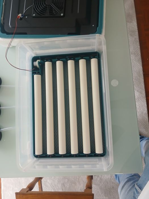 Chocadeira (incubadora de ovos) 30 ovos