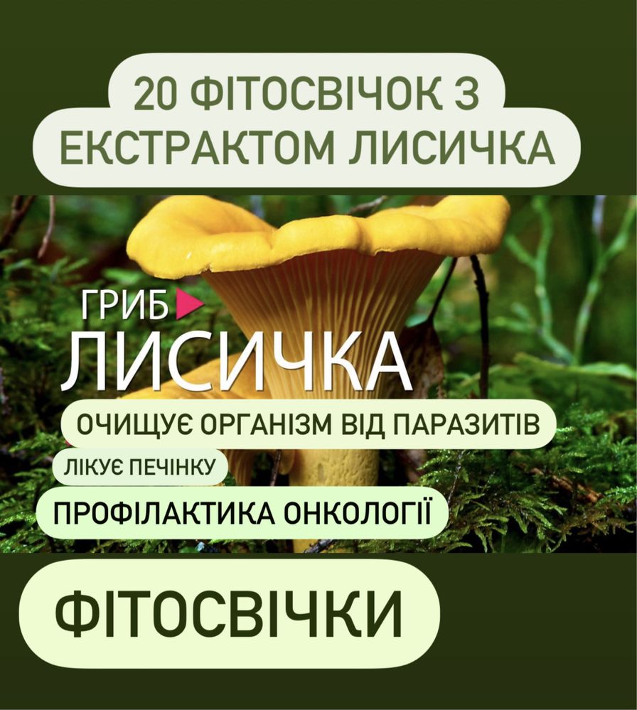 Лисичка - ректальные свечи,от глистов. геморроя.   (простатита)