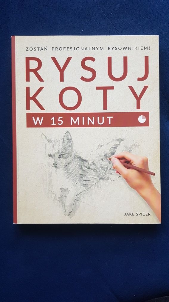 Rysuj koty książka