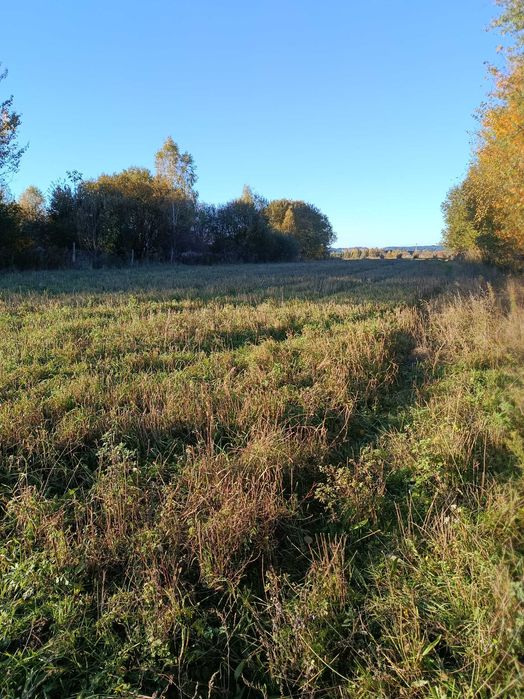działka budowlana z warunkami zabudowy Połczyn Zdrój