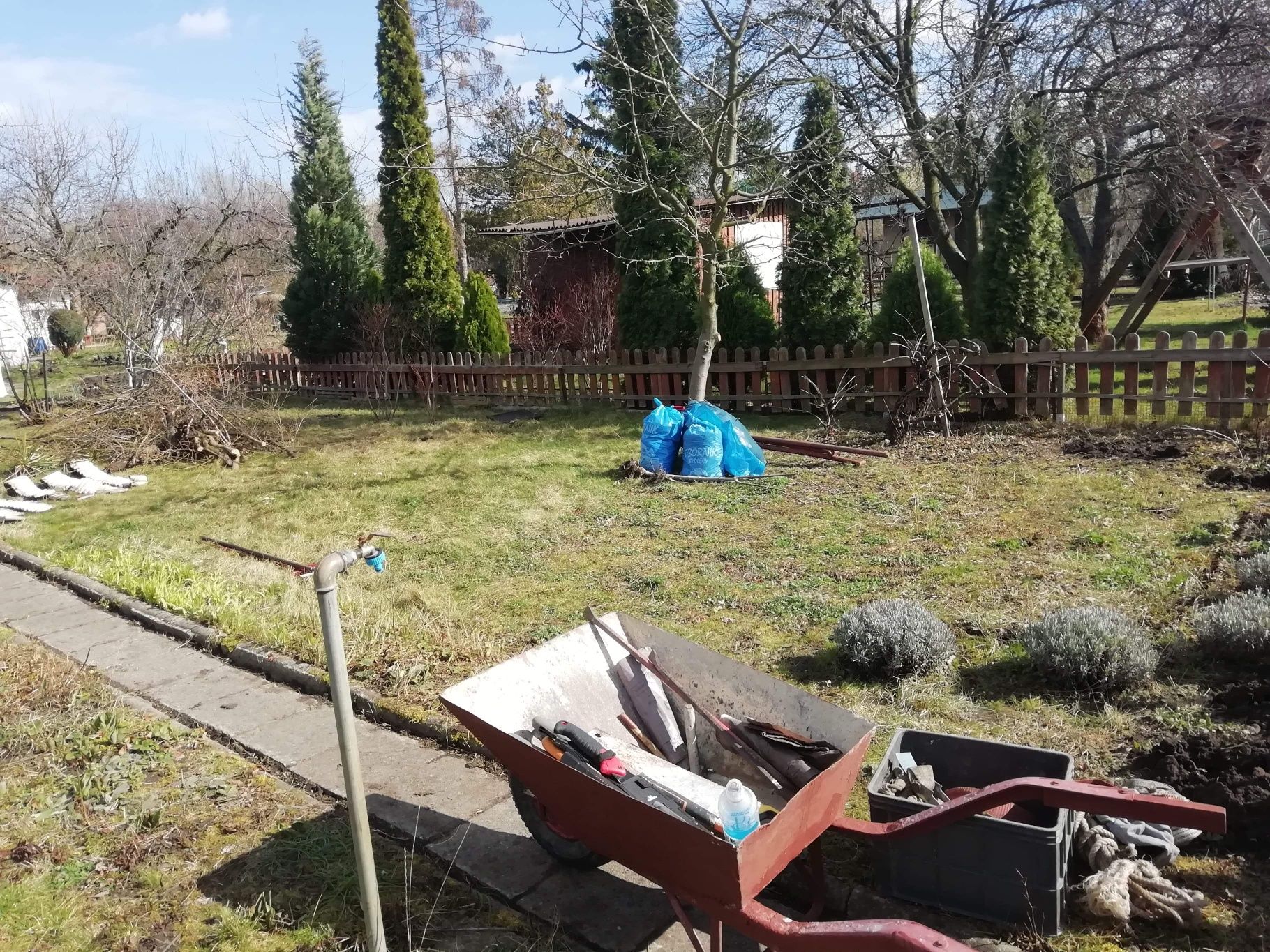 Prace ogrodowe,Wertykulacja, glebogryzarka,Koszenie,wysiew traw,