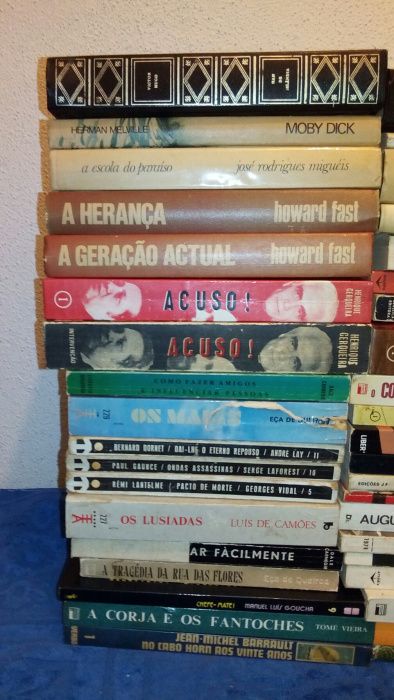 Lote 50 livros varios