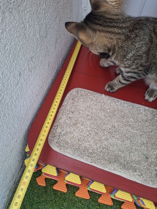 Catit Vesper porządny drapak dla kota stan bardzo dobry