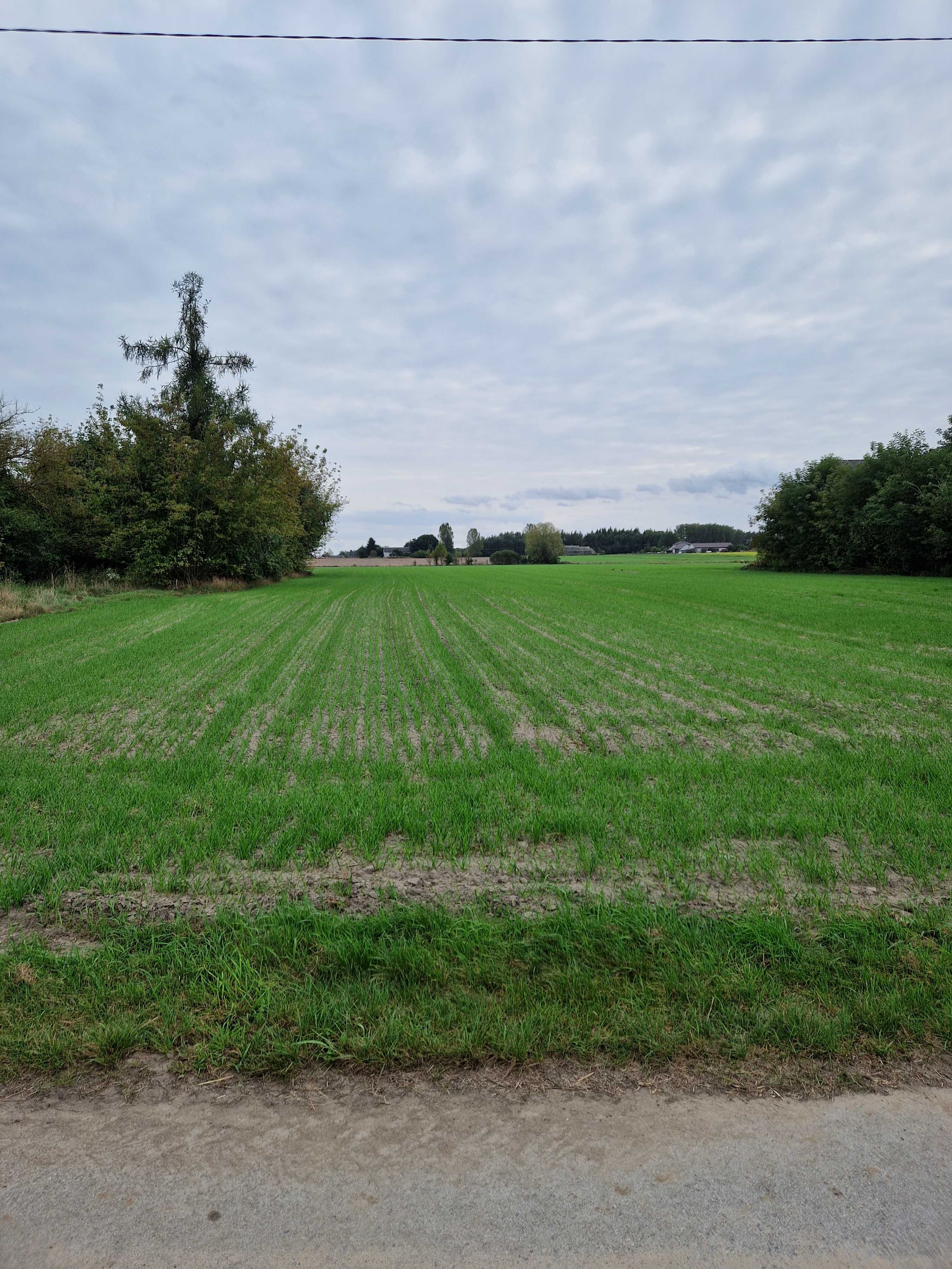 Sprzedam działkę pow.10539m² w miejscowości Zamość Stary koło Zwolenia