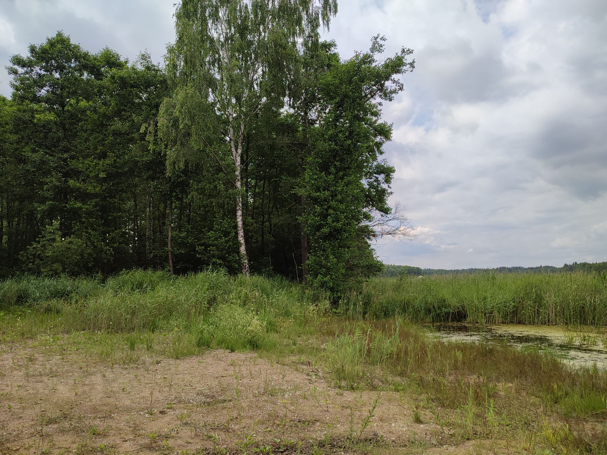 Działka nad jeziorem Krzywe Oleckie w miejscowości Sajzy.