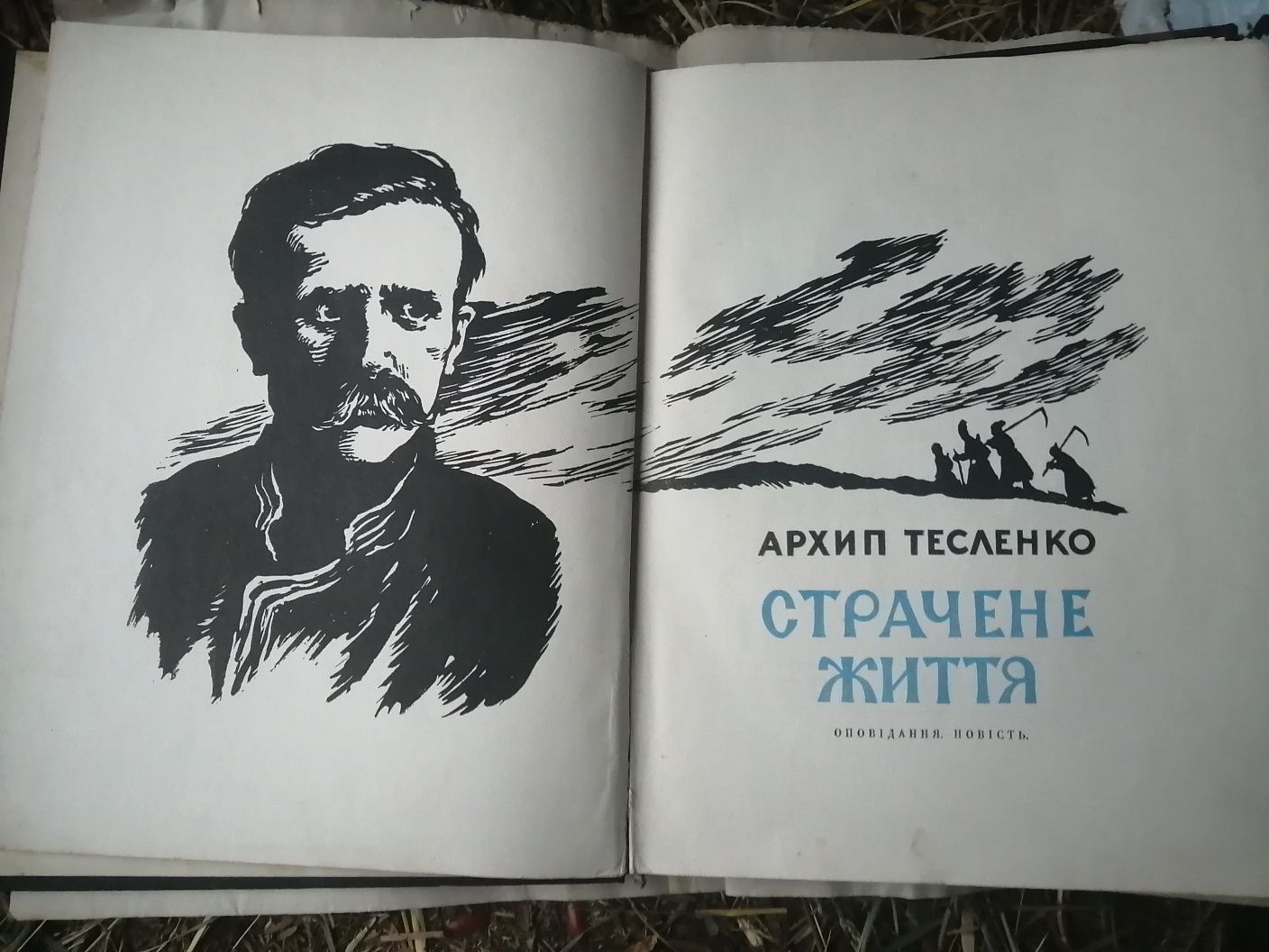 Книги:Страчене життя А. Тесленко, С. Васильченко В бурянах...