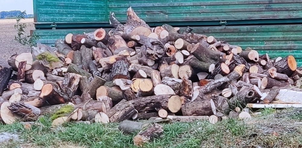 Sosns sprzedam drzewo opałowe