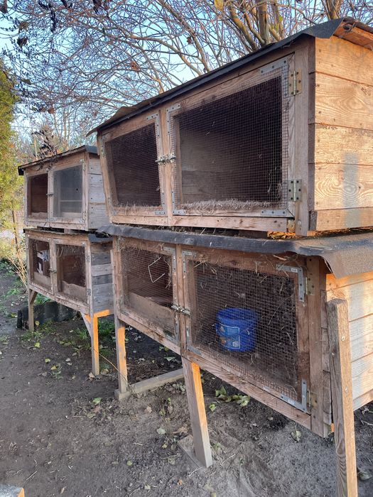 Klatki dla królików