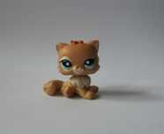 Kot perski pers littlest pet shop kotek