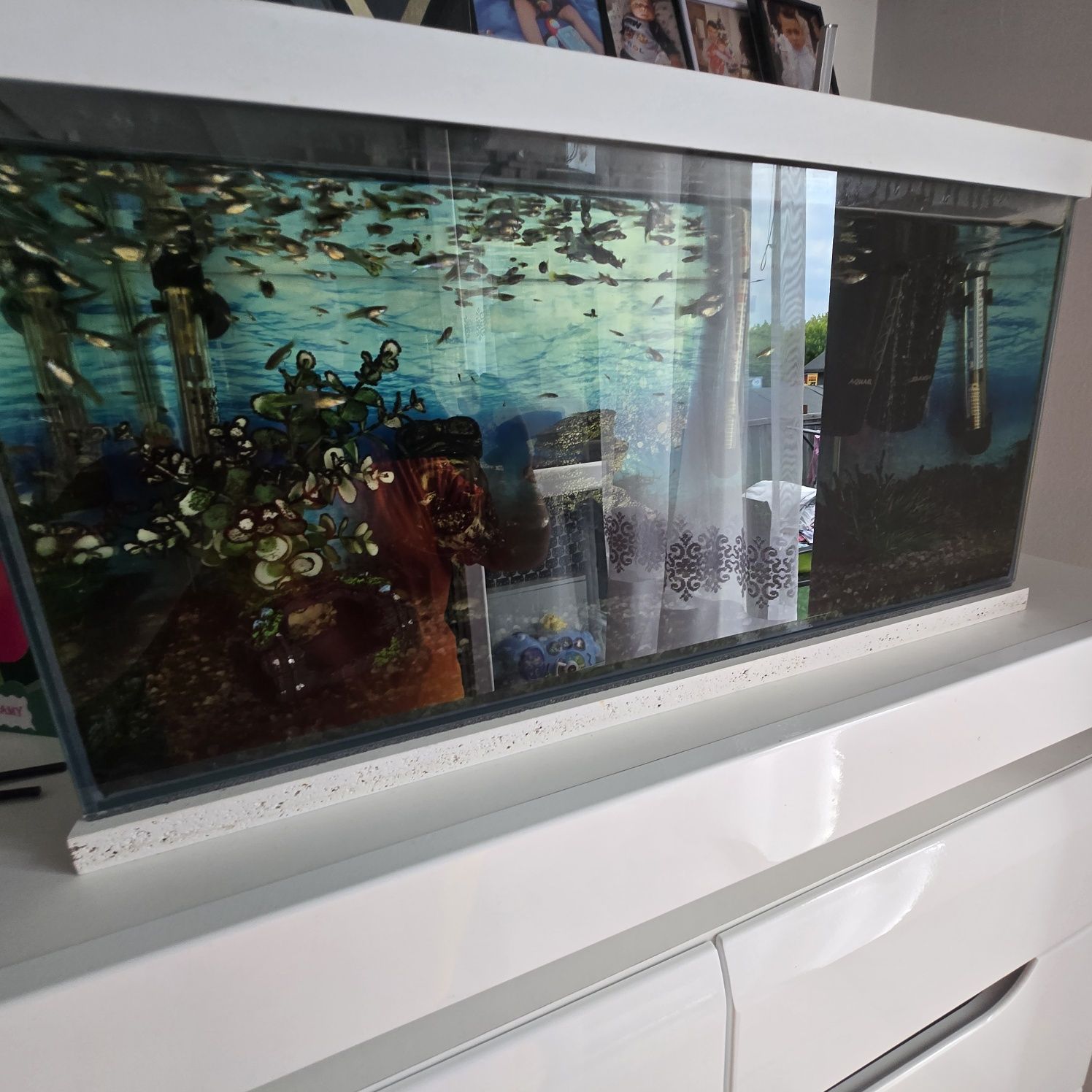 Białe Panoramiczne 60l