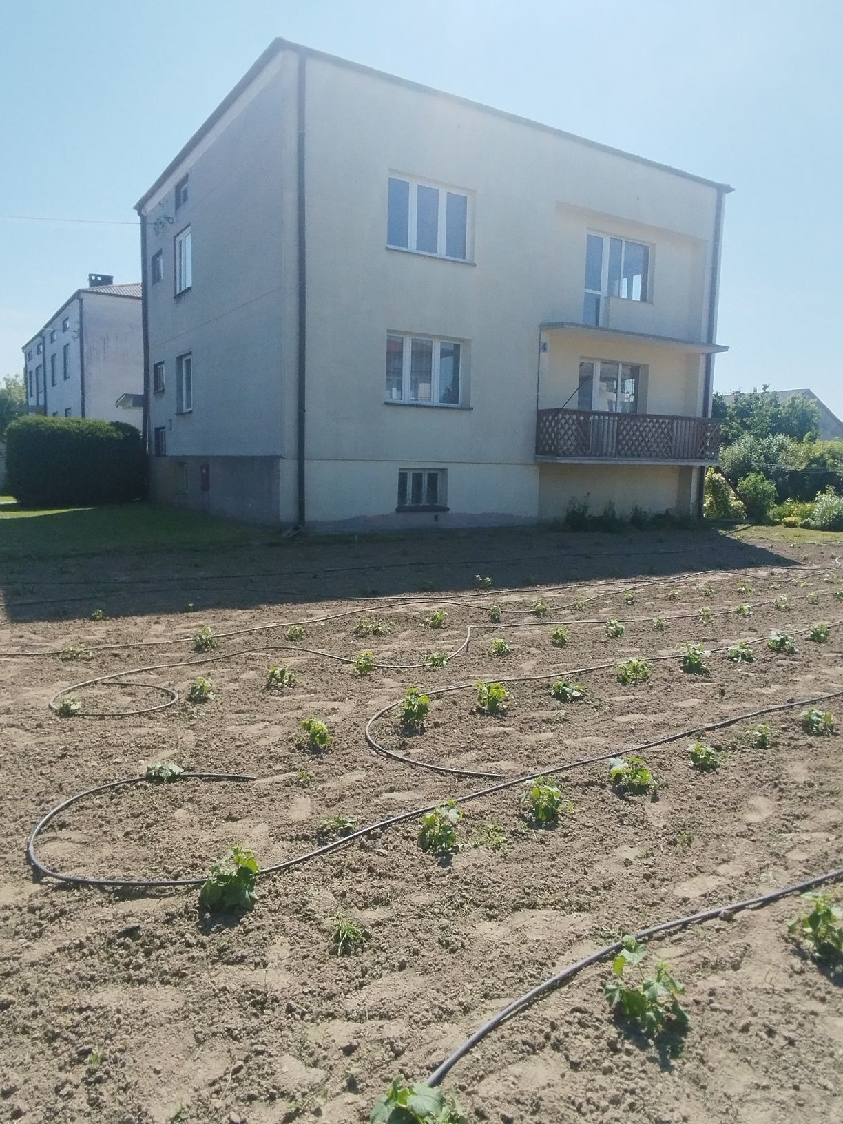 Sprzedam dom wraz z budynkami gospodarczymi działka 22a.