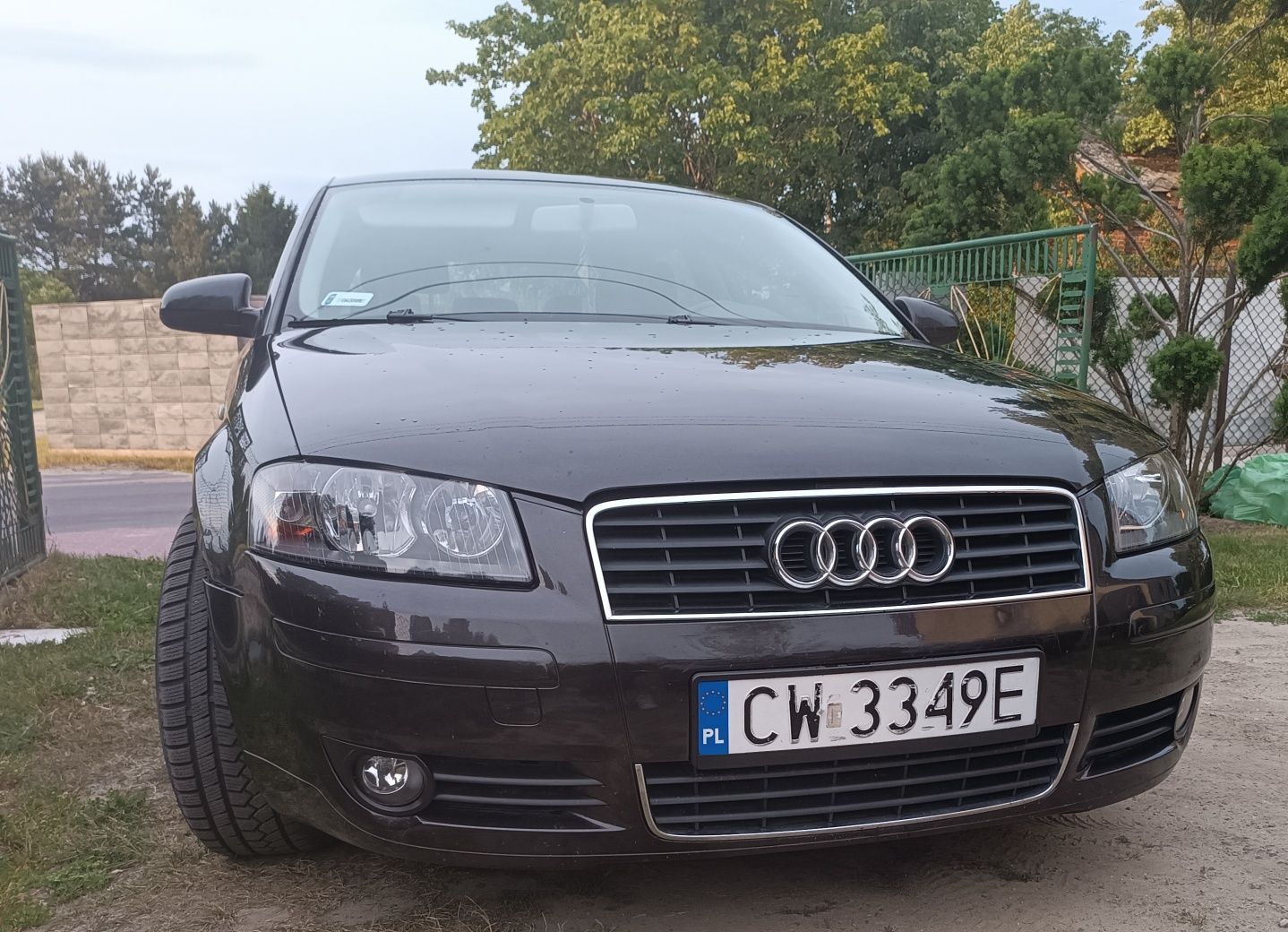 Audi a3 8p 1.9 TDI