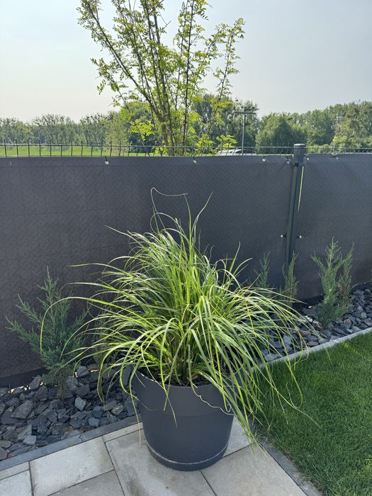 Mata osłona ogrodzeniowa 2,5x1,2 9 szt