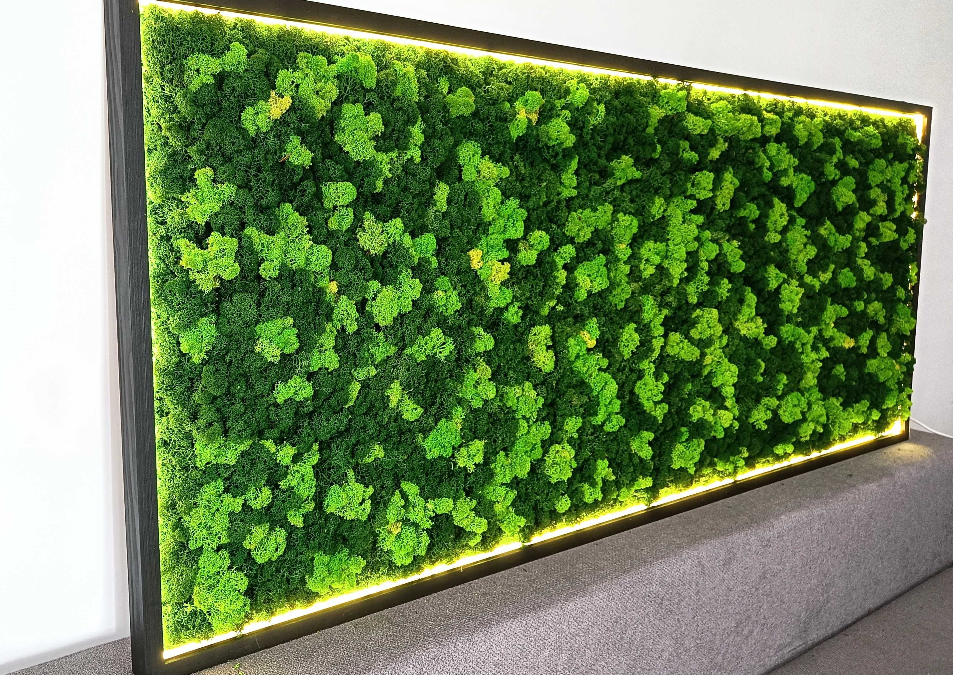 Rama podświetlona LED 100x40cm z mchem poduszkowym, chrobotkiem