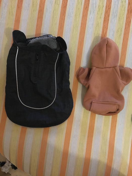 Толстовки все за одну ціну