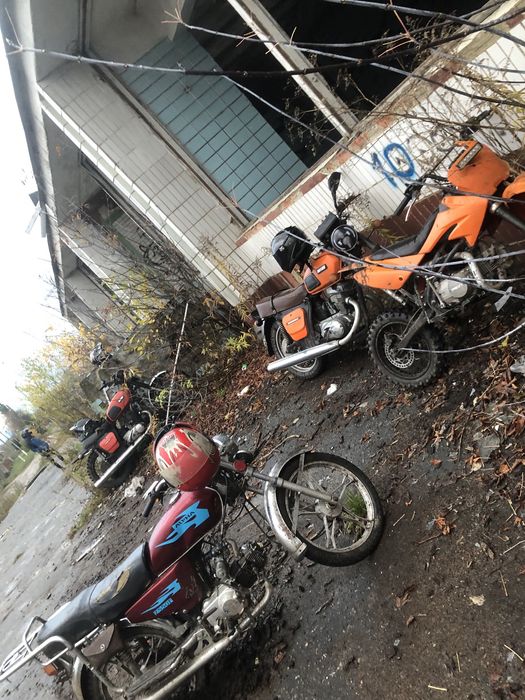 продам альфу 50 кубов