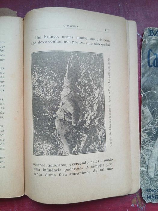 João Teixeira de Vasconcelos, Memórias de um Caçador de Elefantes