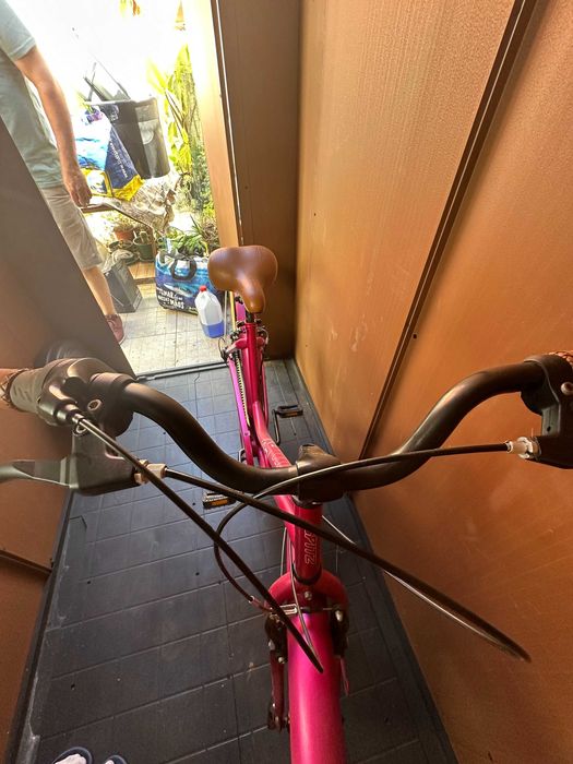 Bicicleta Spitz Way Oldie 20