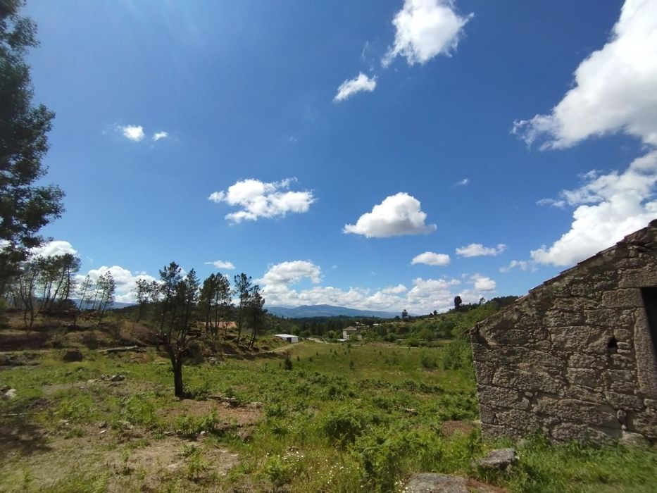 Quinta 5 ha – Figueiró da Granja / Fornos de Algodres