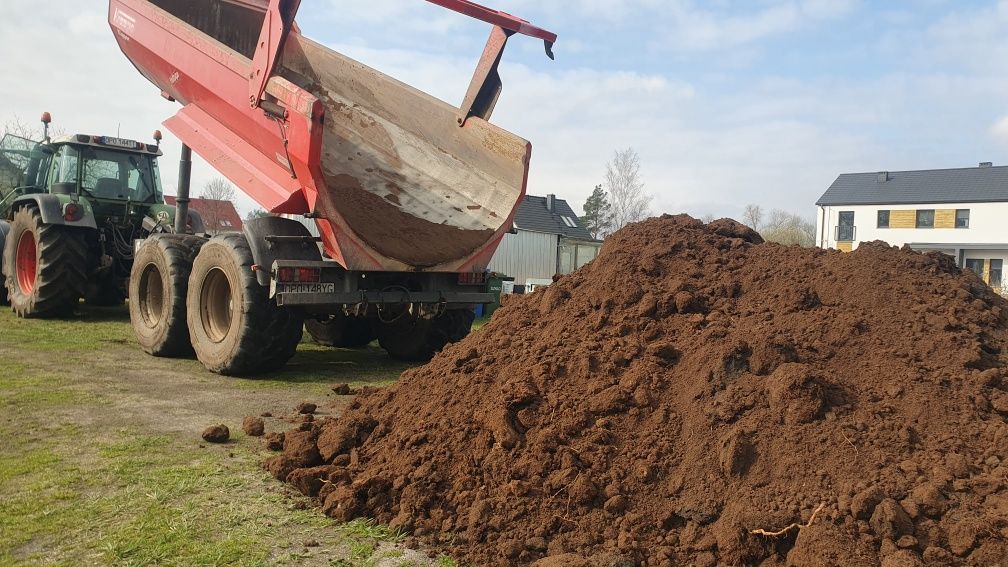 Ziemia ogrodowa pod trawnik borówke