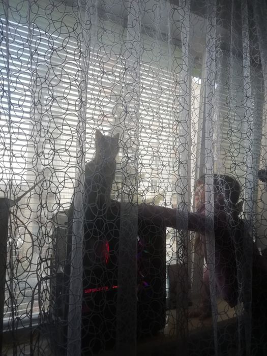 Пк для ігор і роботи