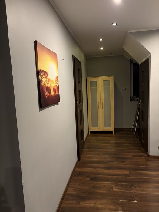 Mieszkanie do wynajęcia