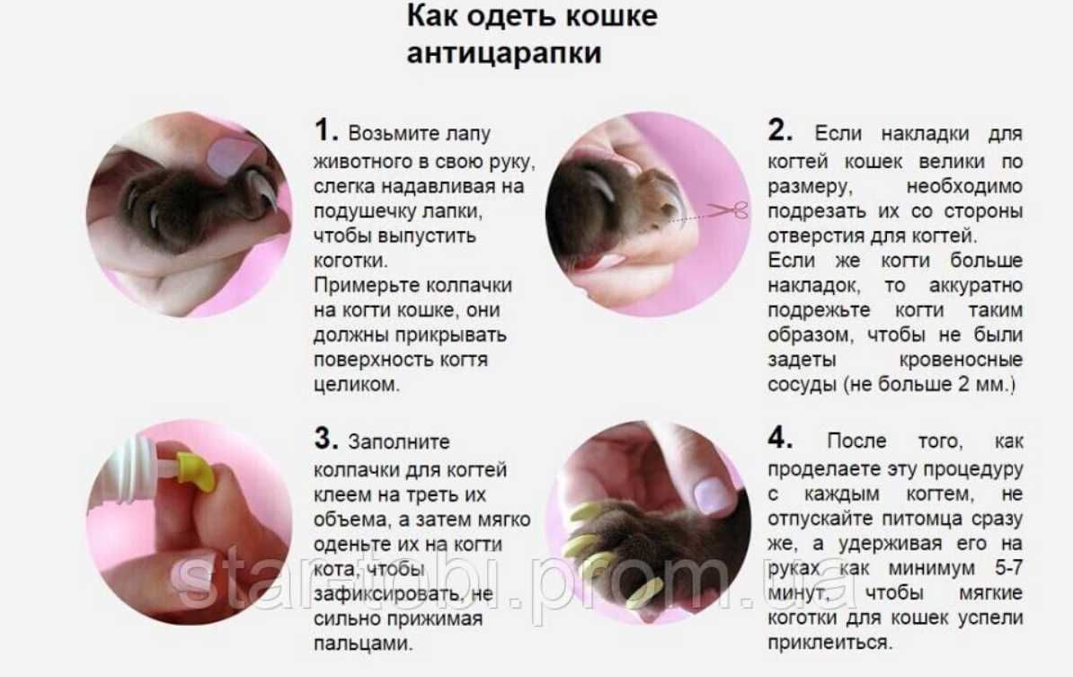 Антицарапки для котов и кошек