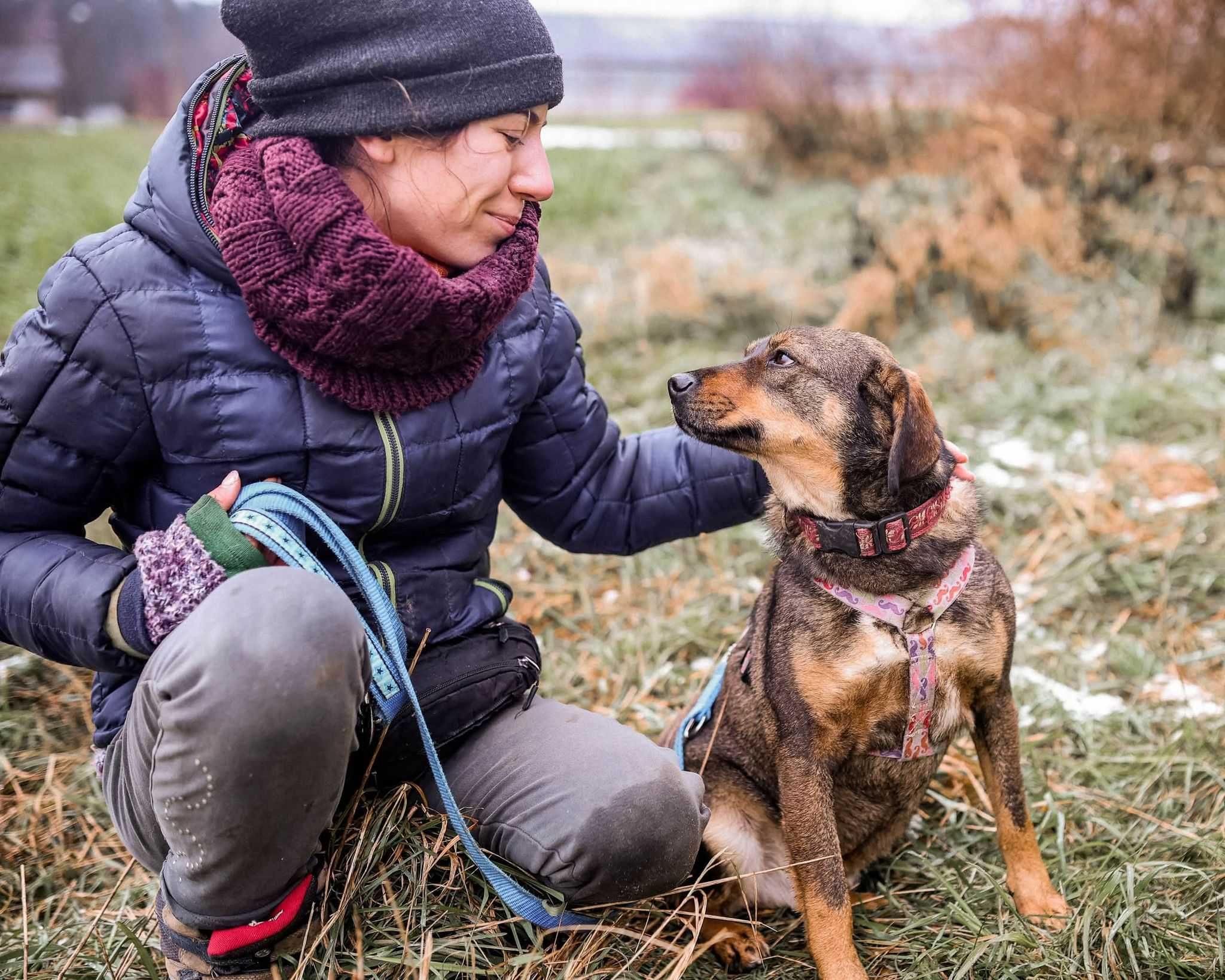 Adoptuj Szarusia i pozwól mu odkryć, jak piękne może być życie!