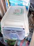 Vendo esta peca para trasportar gatos ou caes pequenos