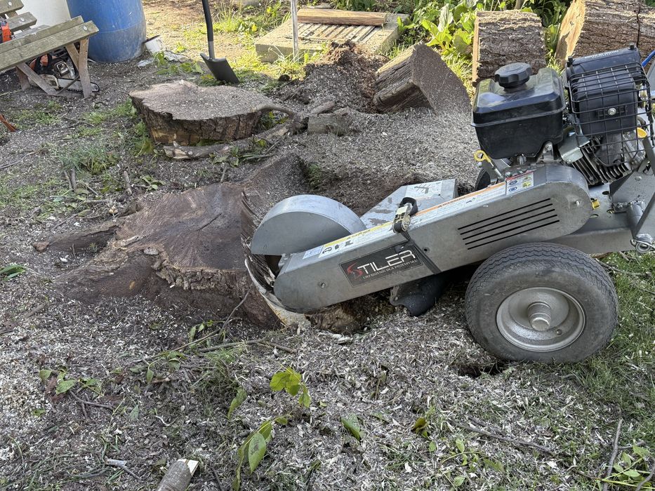 Usuwanie pni drzew karczowanie