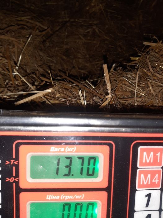 Тюки пшеничної та вівсяної соломи