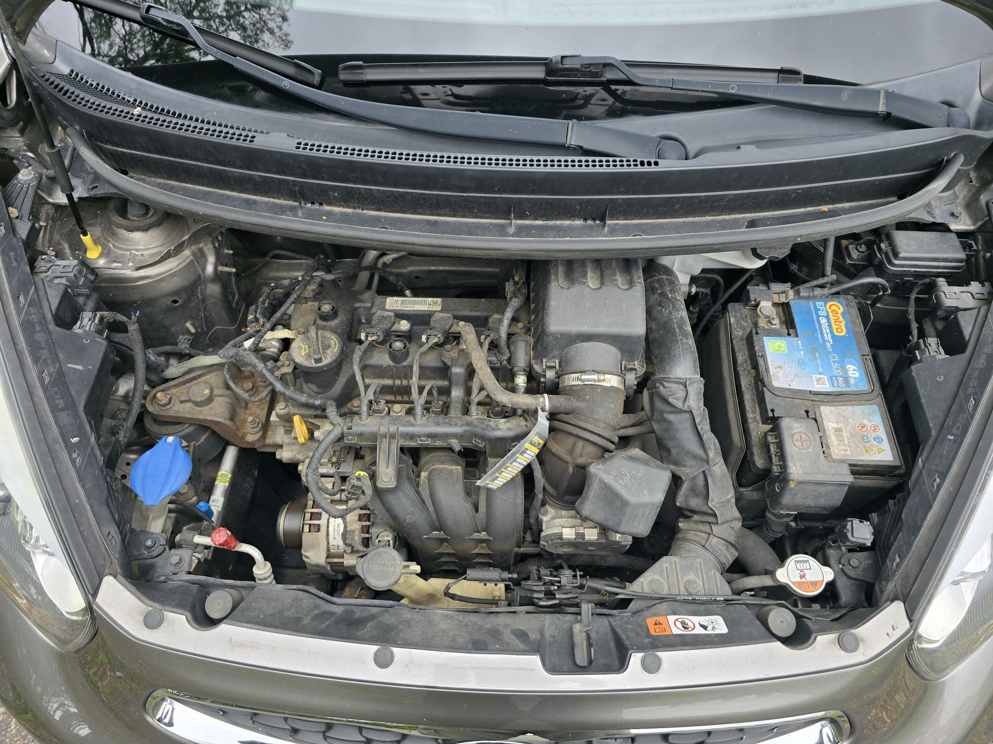 Kia Picanto 1.0 2015r