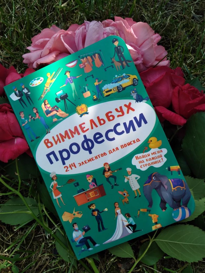 Книги Віммельбух