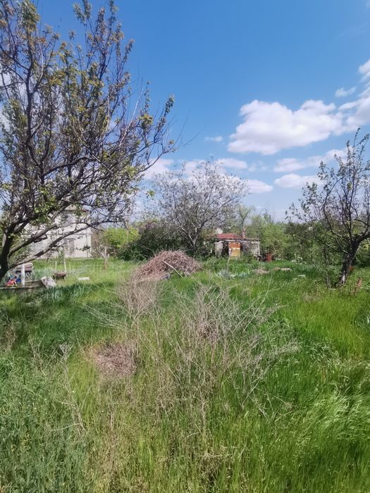 Продам дачу в с. Малое (40 км от Одессы)