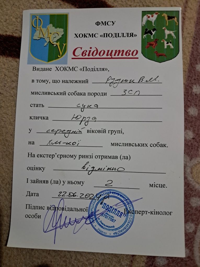 Продам західно сибірську лайку