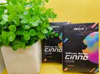 ⇒ ZiiGaat Cinno (black) - гибридные пятидрайверные наушники (1DD+4BA)