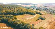 Winnica działka pod lasem 1035 m2