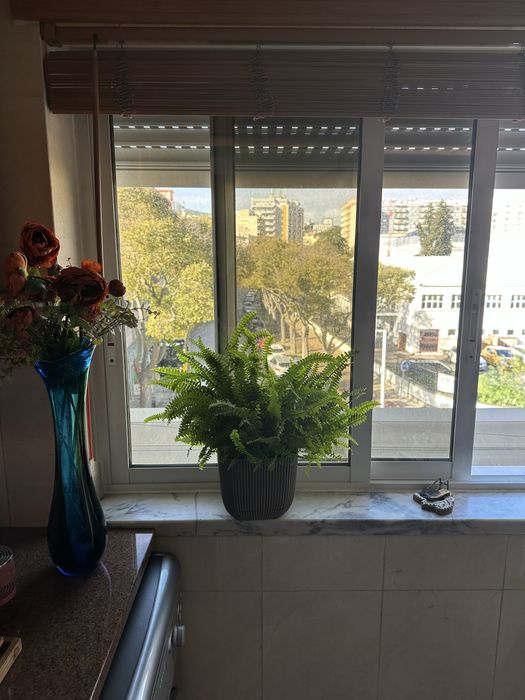 Quarto Setúbal junto ao Jardim Bonfim. 15m2. Em ap com varanda.