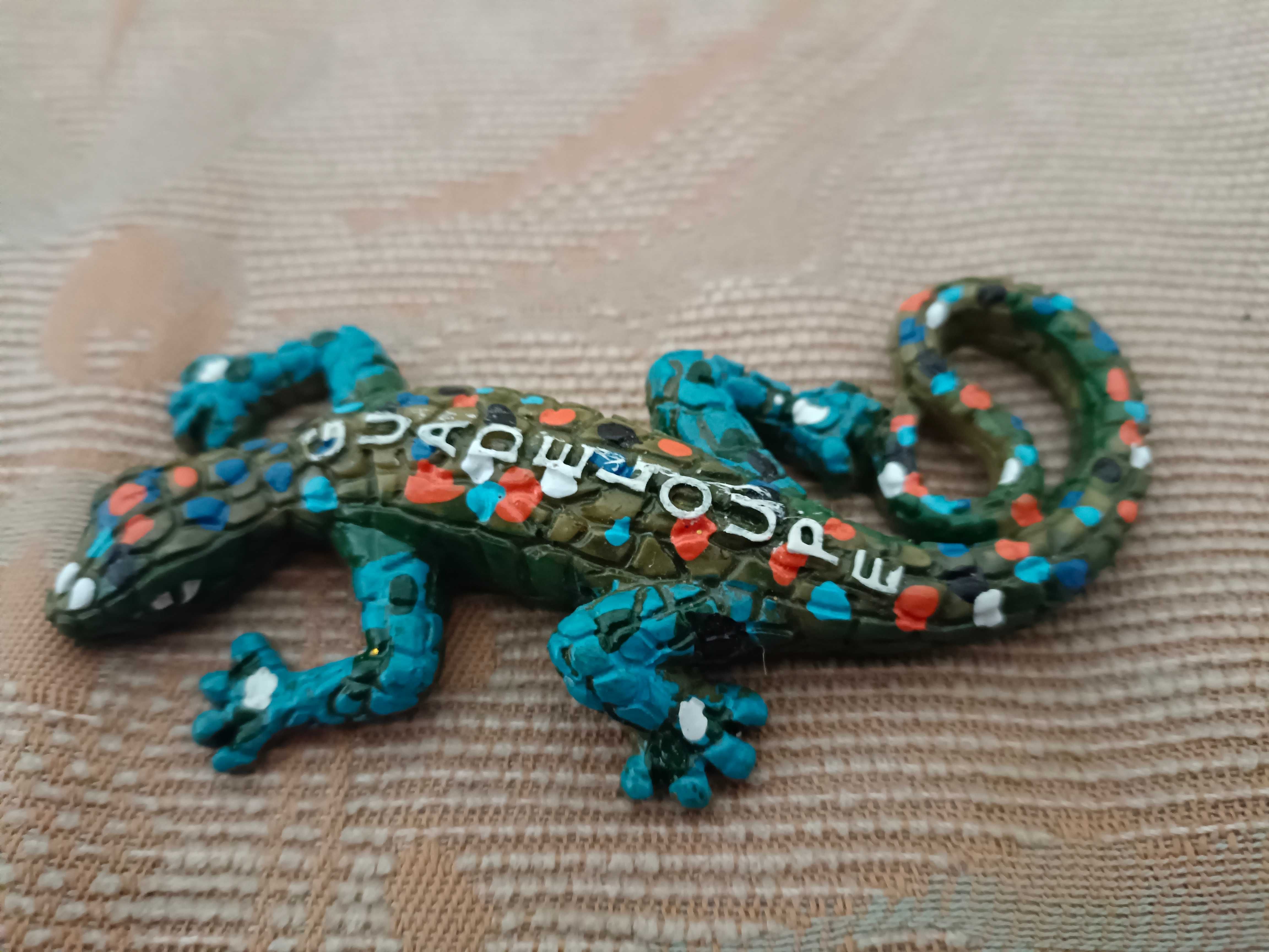 Jaszczurka kolorowa