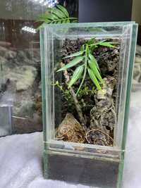 Terrarium gilotyna 10x10x20 z gotowym wystrojem