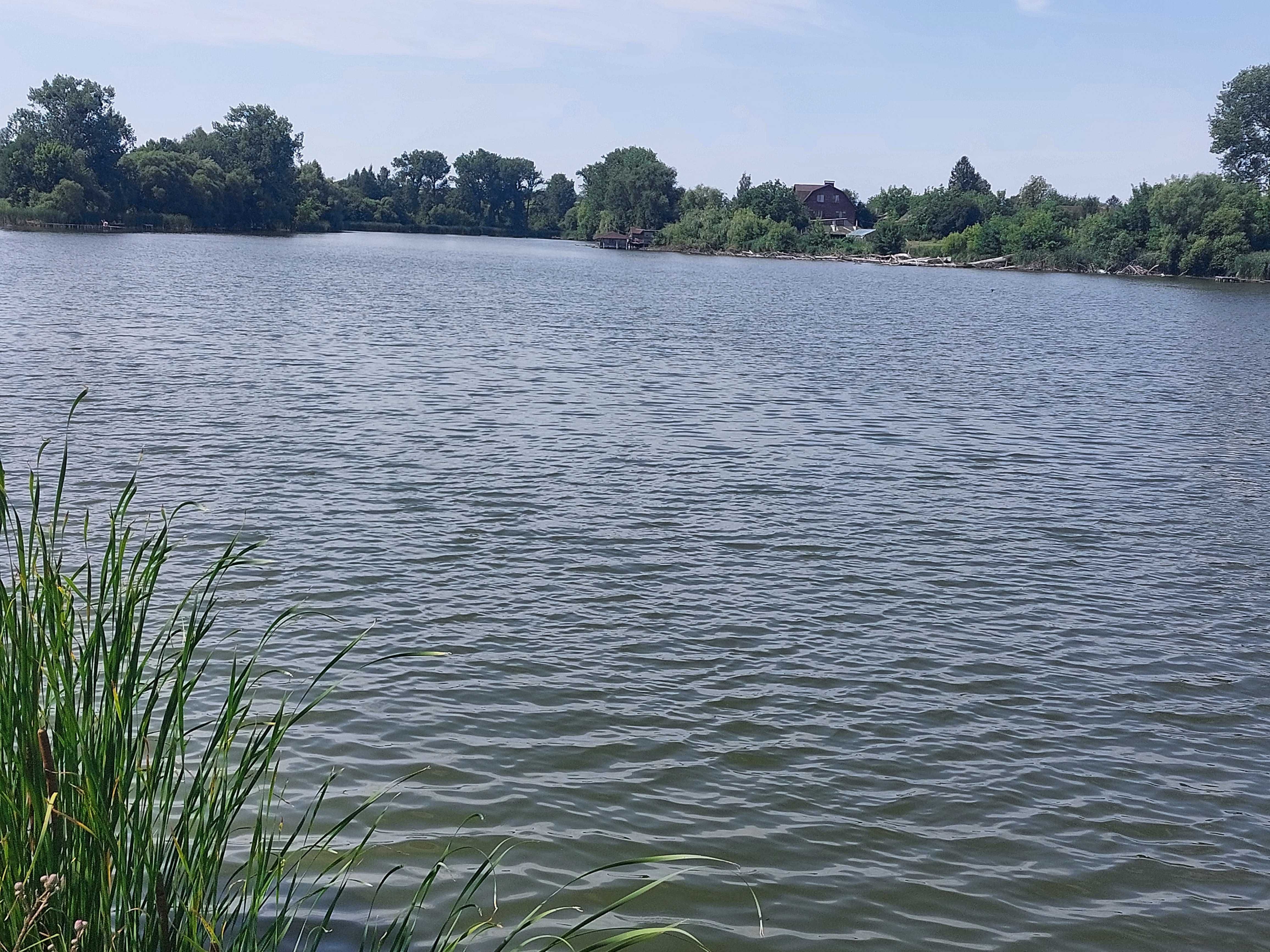 Оренда земельної ділянки водного фонду, площею 15,0336 га.