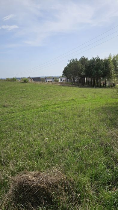 Działka budowlana Krynice