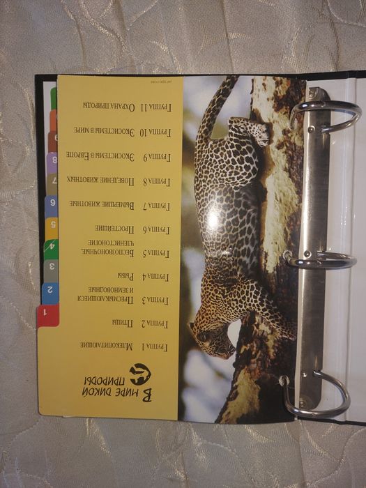 Большая энциклопедия животных