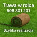 PROMOCJA 40 M2 Trawa w rolce, trawa z rolki, trawa, TRAWNIK POLSKI