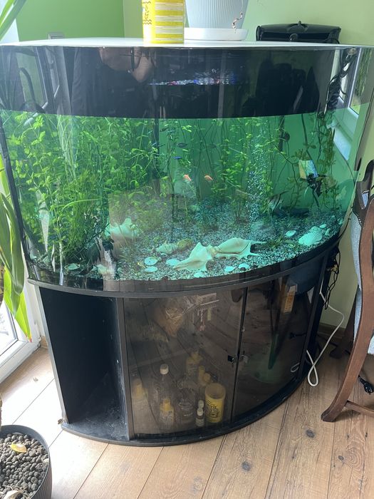 Akwarium z osprzętem, szafką i życiem