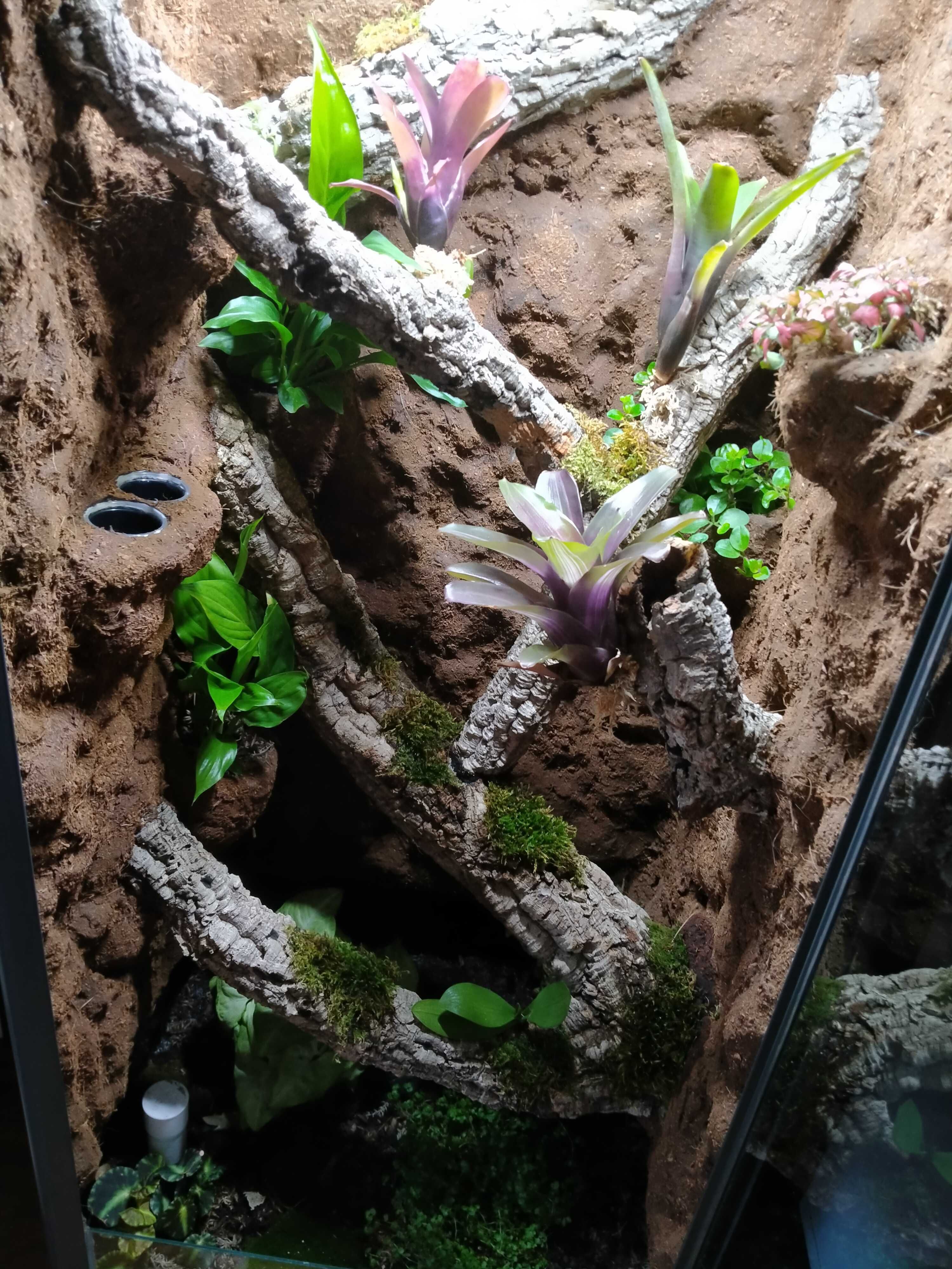 Wyjątkowe terrarium z witryny Fabrikör IKEA