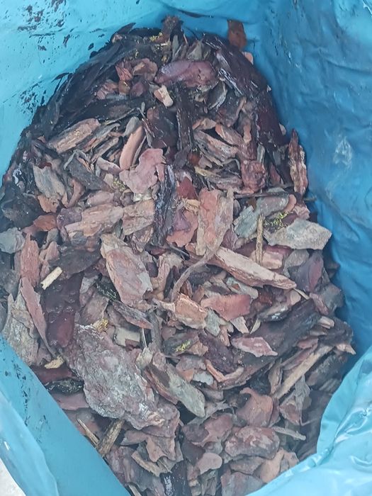 Kora sosnowa 80L średnia sortowana frakcja 20-40.