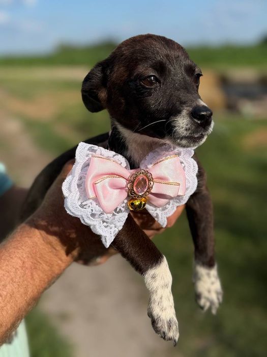 Маленька дівчинка Міка, 7місяців