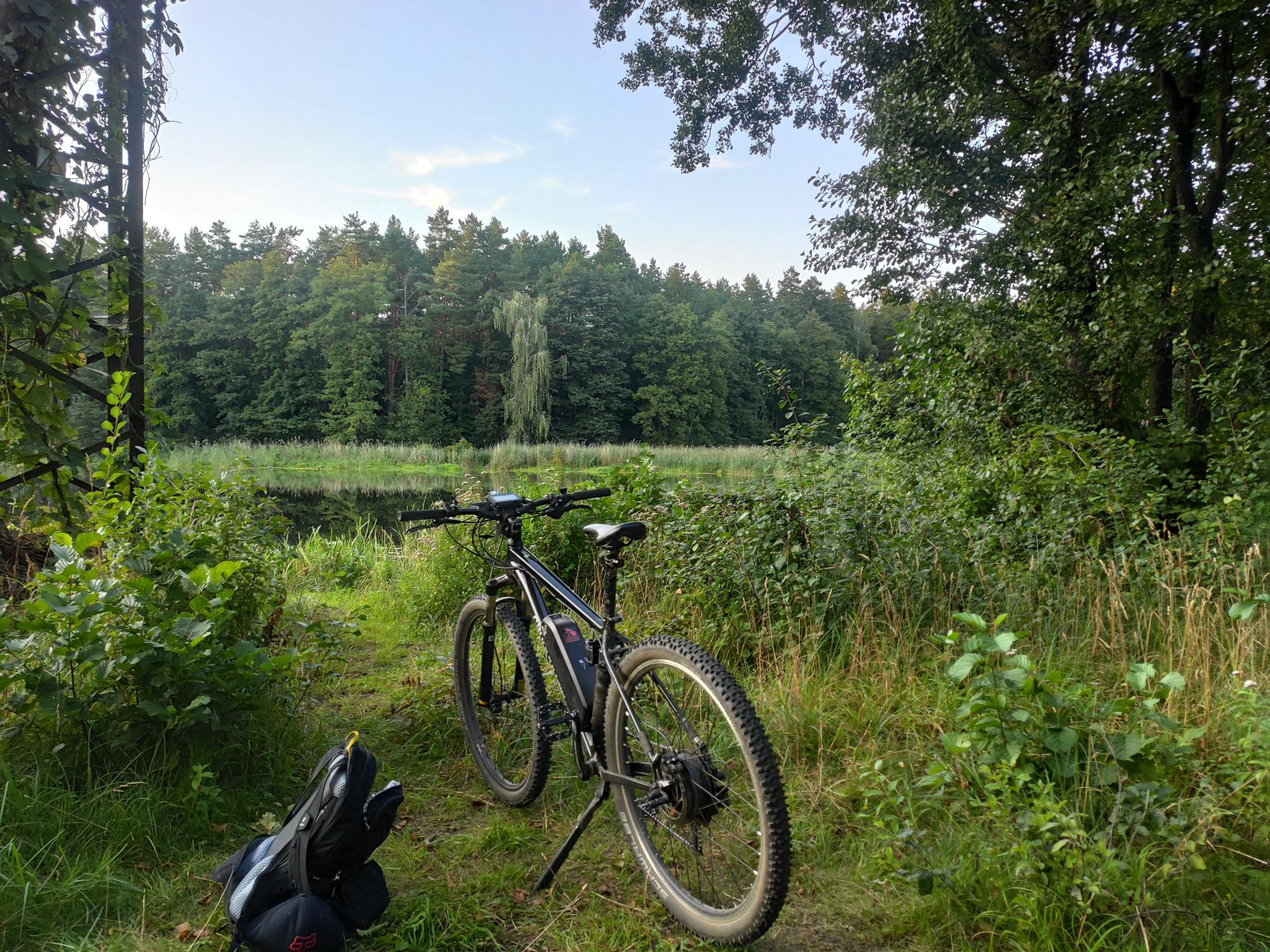 Rower elektryczny, rama L, koła 29