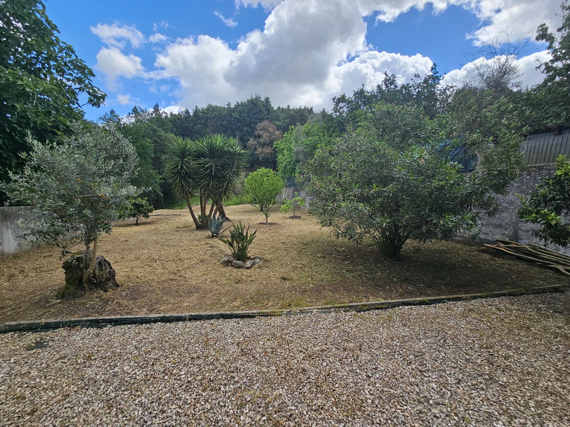 Limpezas de terrenos lavagem de muros e telhados